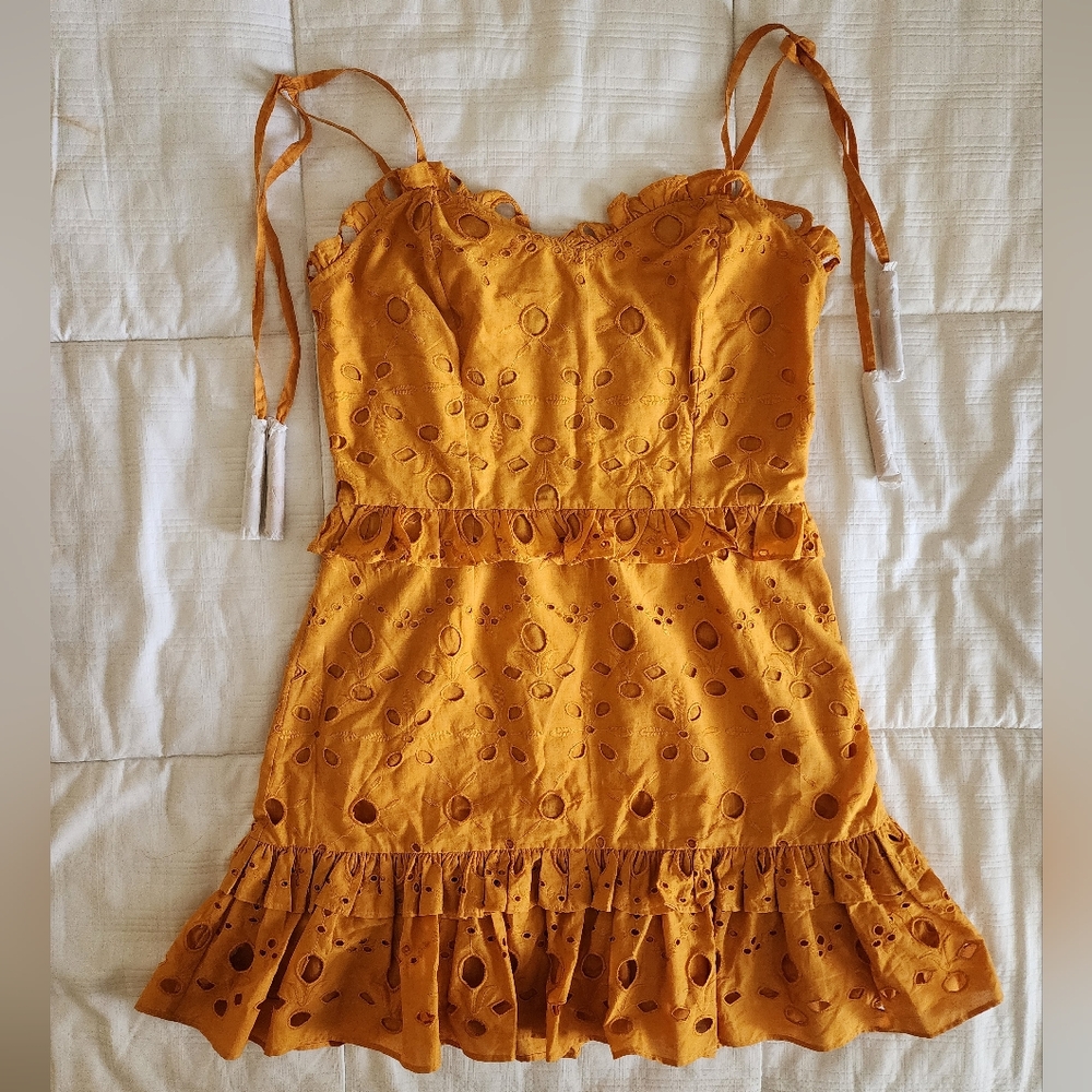 Walter Baker Misty Eyelet Ruffle Dress Size 10 (see description)